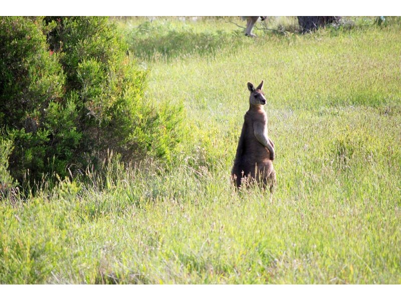 Lot 26 John Flagg Rise, Inverloch VIC 3996