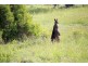 Lot 26 John Flagg Rise, Inverloch VIC 3996
