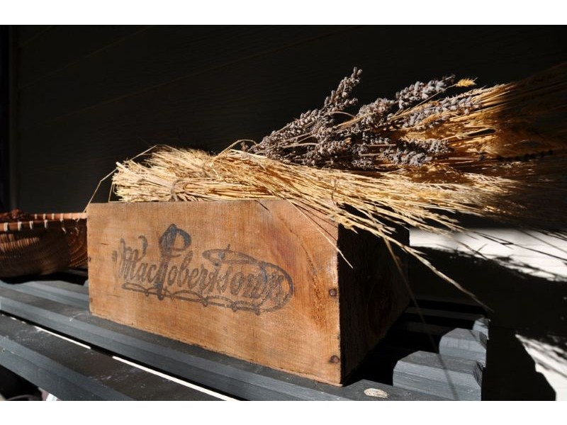 17 Main Road, Outtrim, Inverloch VIC 3996