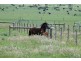 1996 Korumburra Wonthaggi Road, Lance Creek VIC 3995