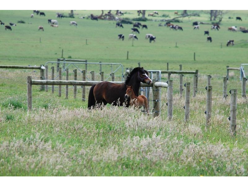 1996 Korumburra Wonthaggi Road, Lance Creek VIC 3995