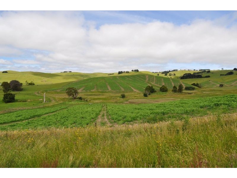 240 Anderson Inlet Road, Moyarra VIC 3951