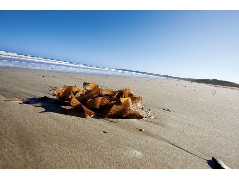 Lots 57-62 Ovata Place, Inverloch VIC 3996