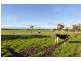 75 Pound Creek Road, Pound Creek VIC 3996
