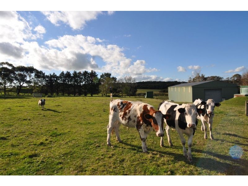 74 Arbuthnots Road, Tarwin Lower VIC 3956