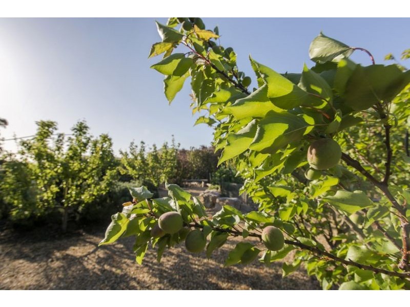 243 Powneys Road, Tarwin Lower, Inverloch VIC 3996