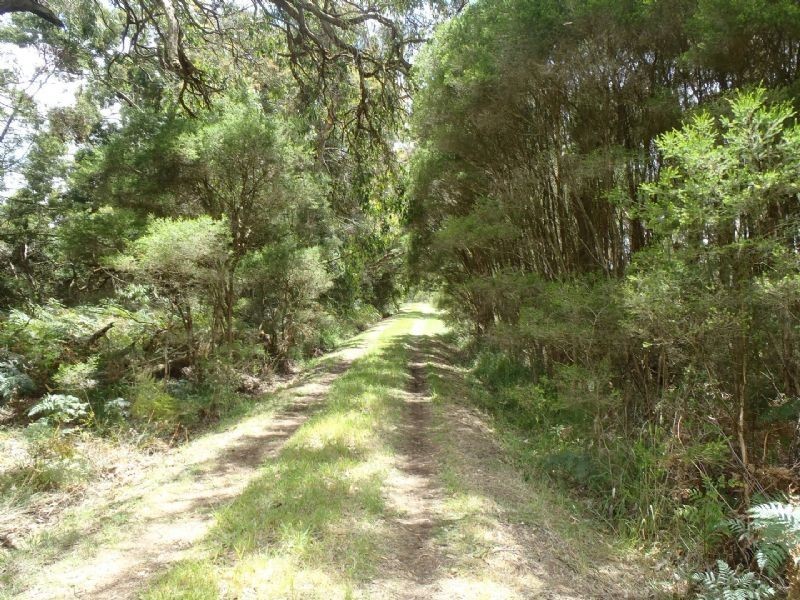 61 Ruttle Lane, Inverloch VIC 3996