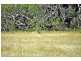 Lot 30 Ruttle Lane, Inverloch VIC 3996