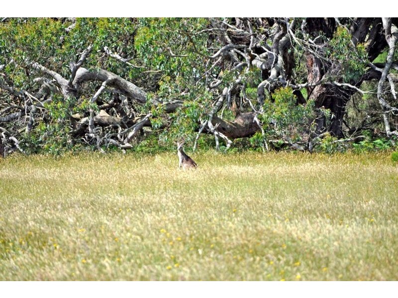 Lot 30 Ruttle Lane, Inverloch VIC 3996
