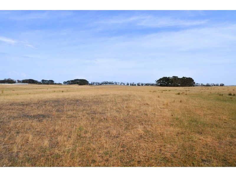 51 Grevillia Street, Walkerville VIC 3956