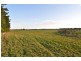 Lot 4 Burrows Way, Tarwin Lower VIC 3956