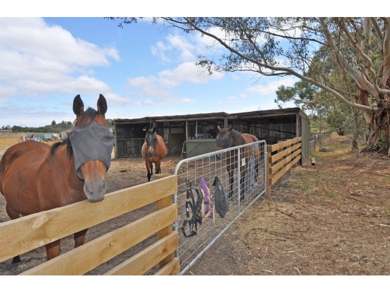 40 Desmond Road, Wattle Bank VIC 3995