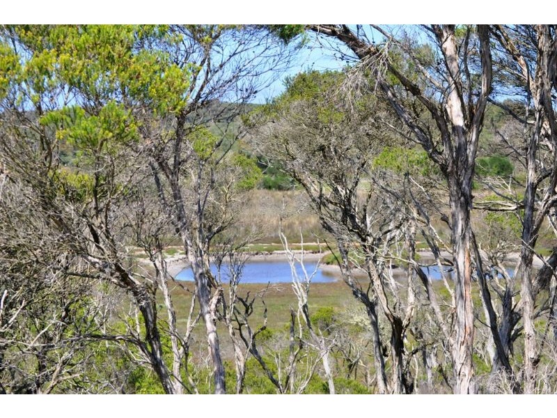 800 Lees Road, Venus Bay VIC 3956