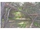 107 Jupiter Boulevard, Venus Bay VIC 3956