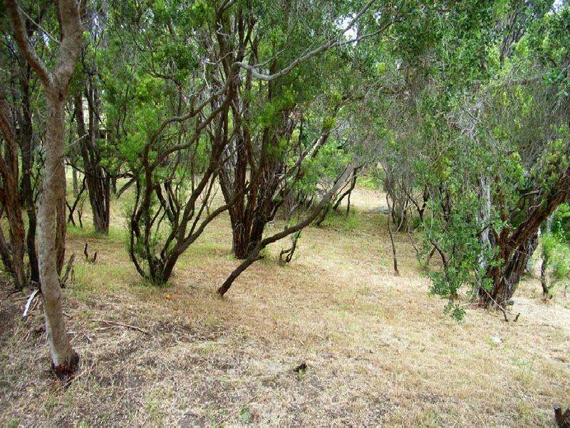 107 Brights Drive, Rye VIC 3941