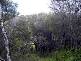 80 Valley Drive, Rye VIC 3941