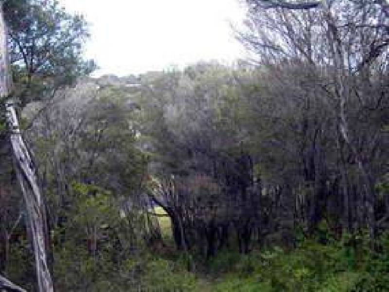 80 Valley Drive, Rye VIC 3941