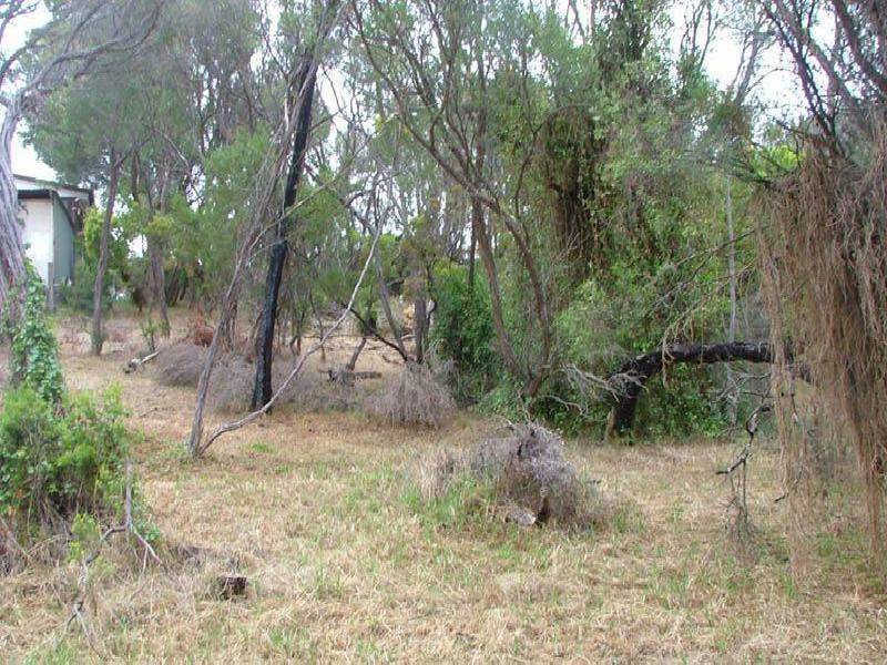 43 Pier Street, Rye VIC 3941