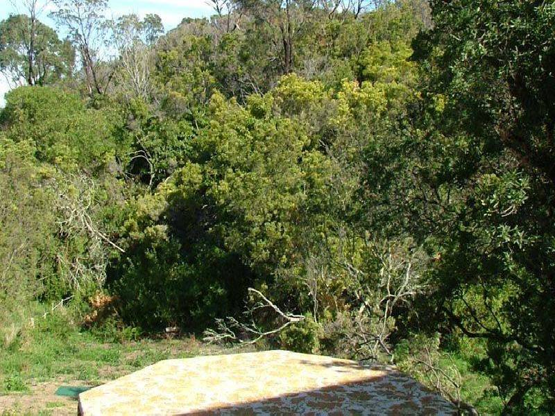 1146 Boneo Road, Cape Schanck VIC 3939