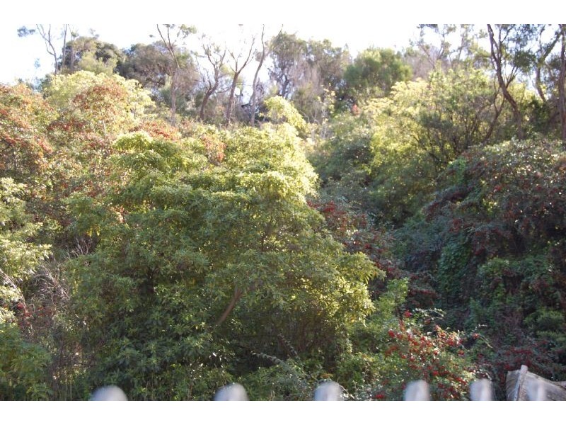 Part B Valley Drive, Rye VIC 3941