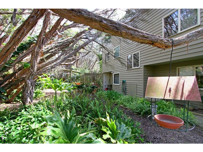 37  Bella Vista Drive, Tootgarook VIC 3941