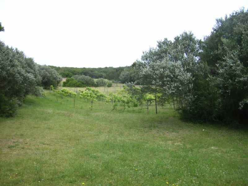 63 Serina Drive, Rye VIC 3941