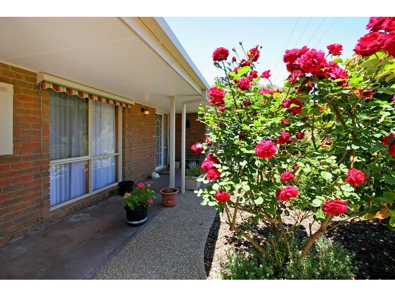 13 Penman Street, Blairgowrie VIC 3942