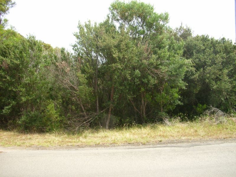 6 Alex Drive , St Andrews Beach VIC 3941