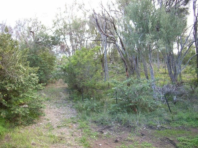 80 Valley Drive, Rye VIC 3941