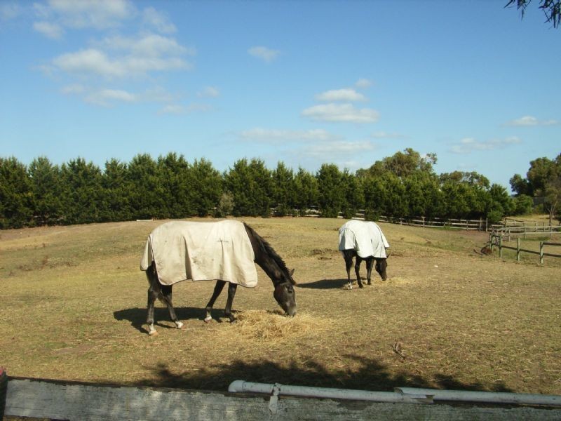 234 Devonport Drive, Rye VIC 3941