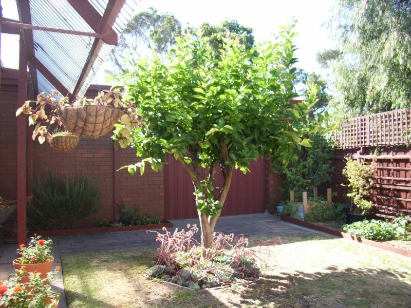 2529 Point Nepean Road, Rye VIC 3941