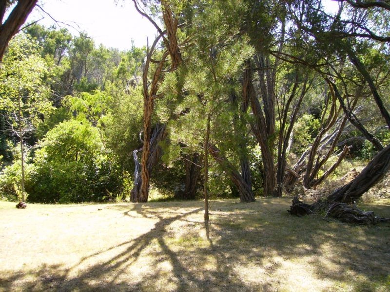 5 Timmins Crescent , Rye VIC 3941