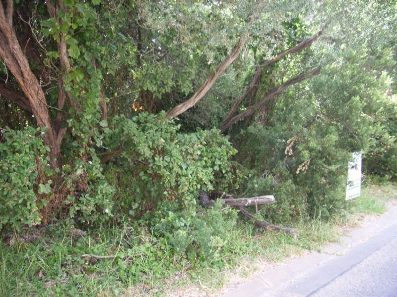 10 Morris Street, Blairgowrie VIC 3942