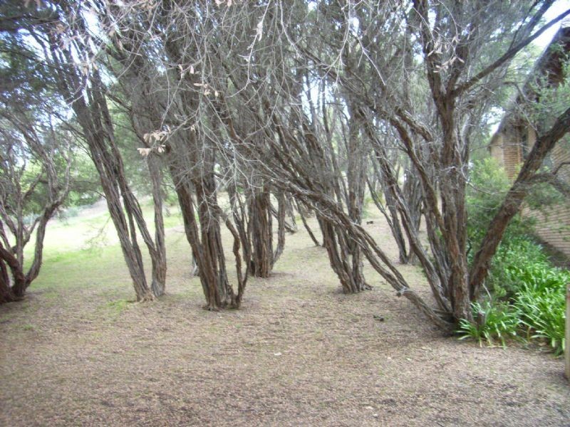 2 Becket Street, Rye VIC 3941