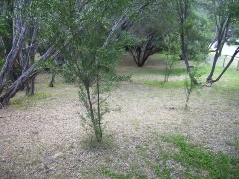 2 Becket Street, Rye VIC 3941