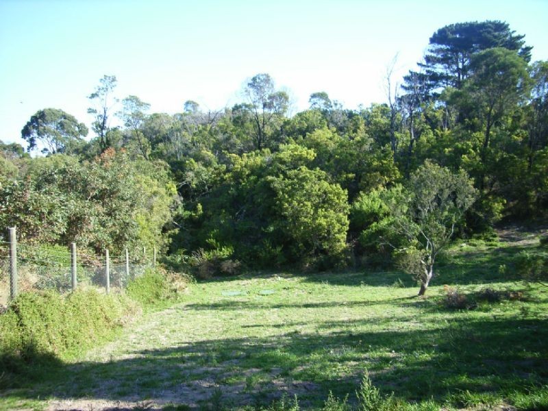 1146 Boneo Road, Cape Schanck VIC 3939