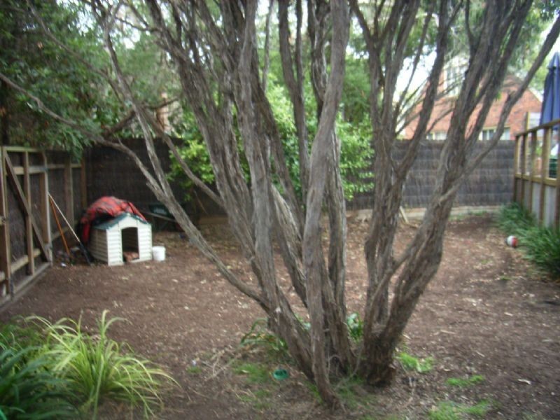 381 Sandy Rd, St Andrews Beach VIC 3941