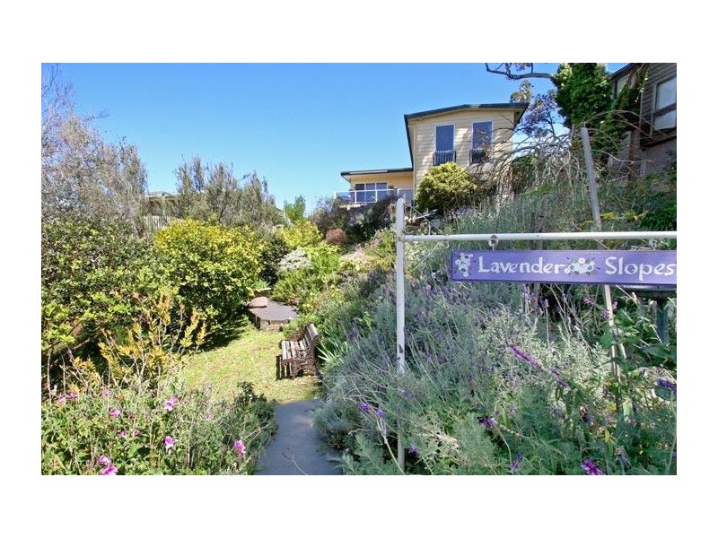 36 Fairhills Drive, Rye VIC 3941