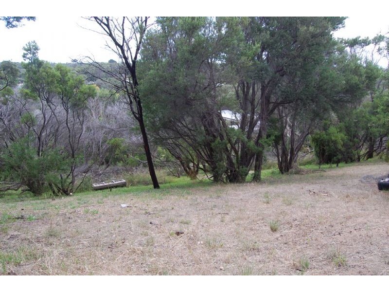 12 Cowrie Court, Tootgarook VIC 3941