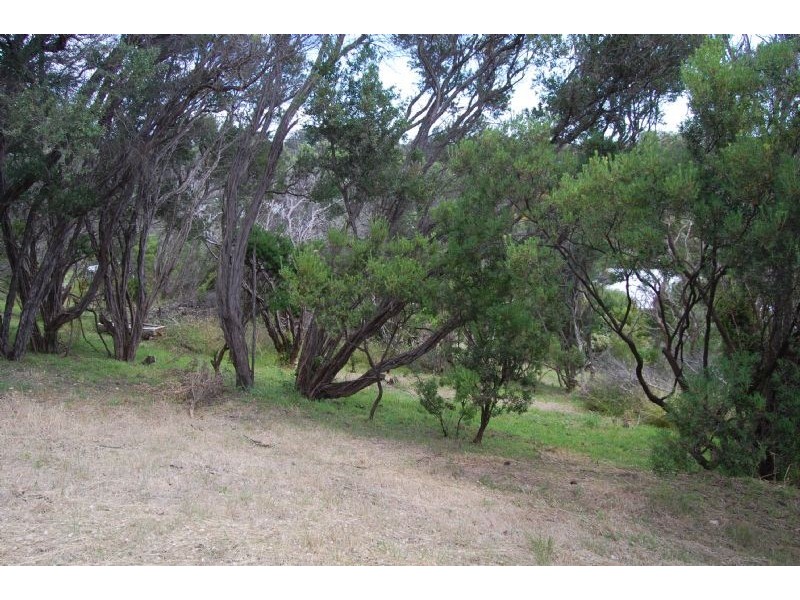 12 Cowrie Court, Tootgarook VIC 3941