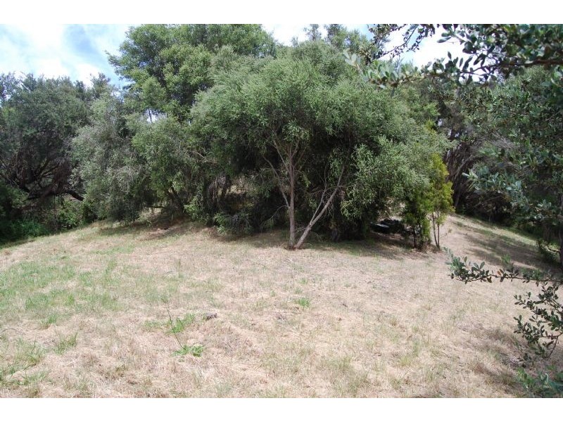 12 Cowrie Court, Tootgarook VIC 3941