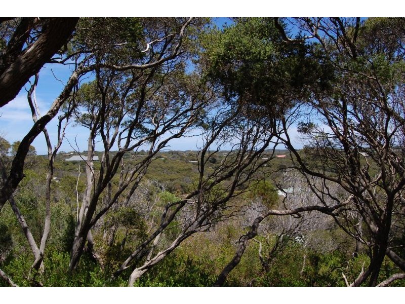 13 Nalong Street, Rye VIC 3941