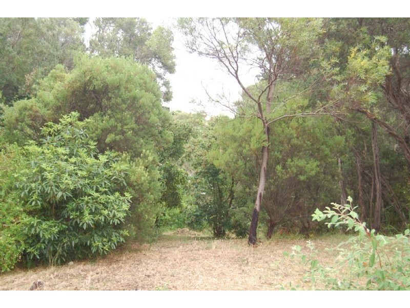 6 Wyena Street, Rye VIC 3941