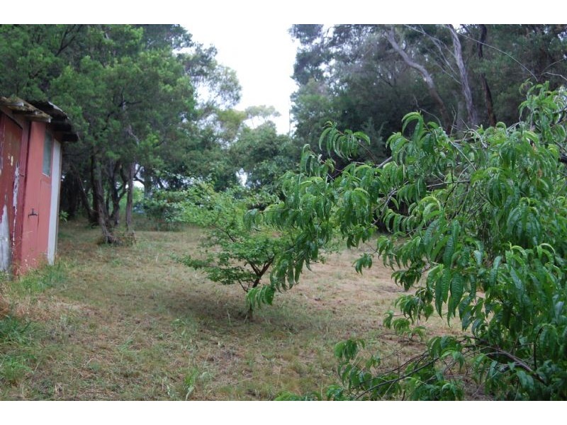 6 Wyena Street, Rye VIC 3941