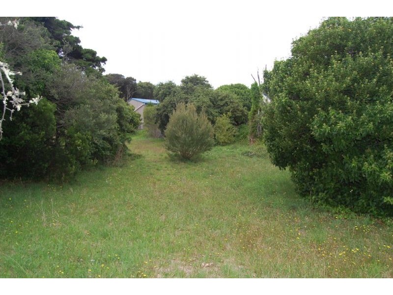 67 Andrea Street, Rye VIC 3941