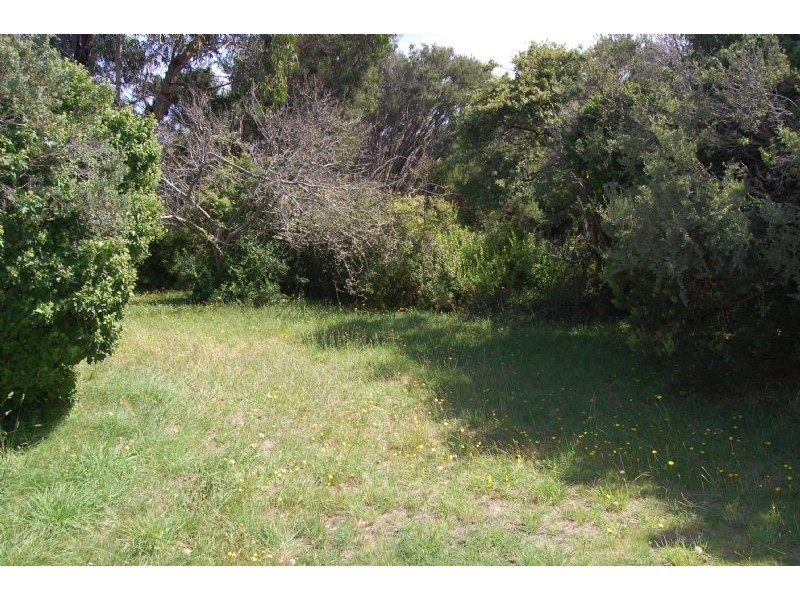 67 Andrea Street, Rye VIC 3941