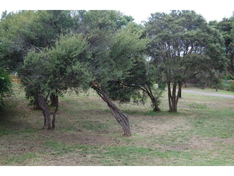 87 Andrea Street, Rye VIC 3941