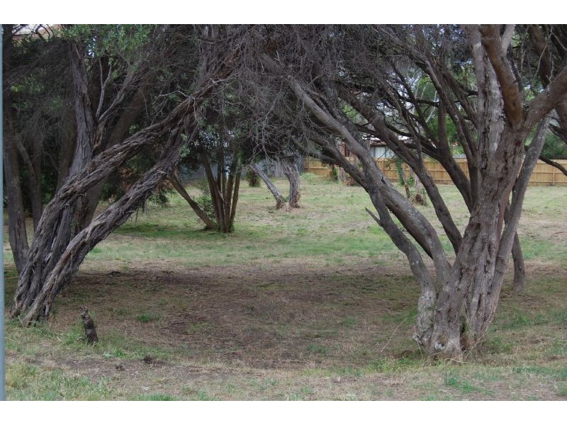 87 Andrea Street, Rye VIC 3941