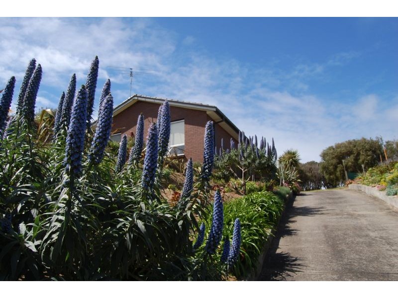8 Egerton Street, Blairgowrie VIC 3942