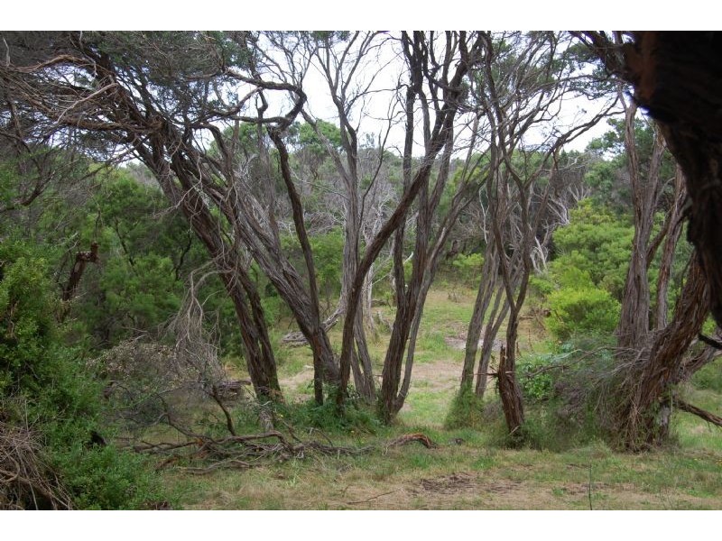 86-88 Iona Street, St Andrews Beach VIC 3941